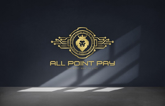 All Point Pay  ෮ 50% Ұ